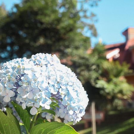 Sobrado Aconchegante E Romantico Gramado Kültér fotó
